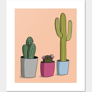 Potted Cacti Posters and Art